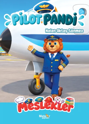 Pilot Pandi